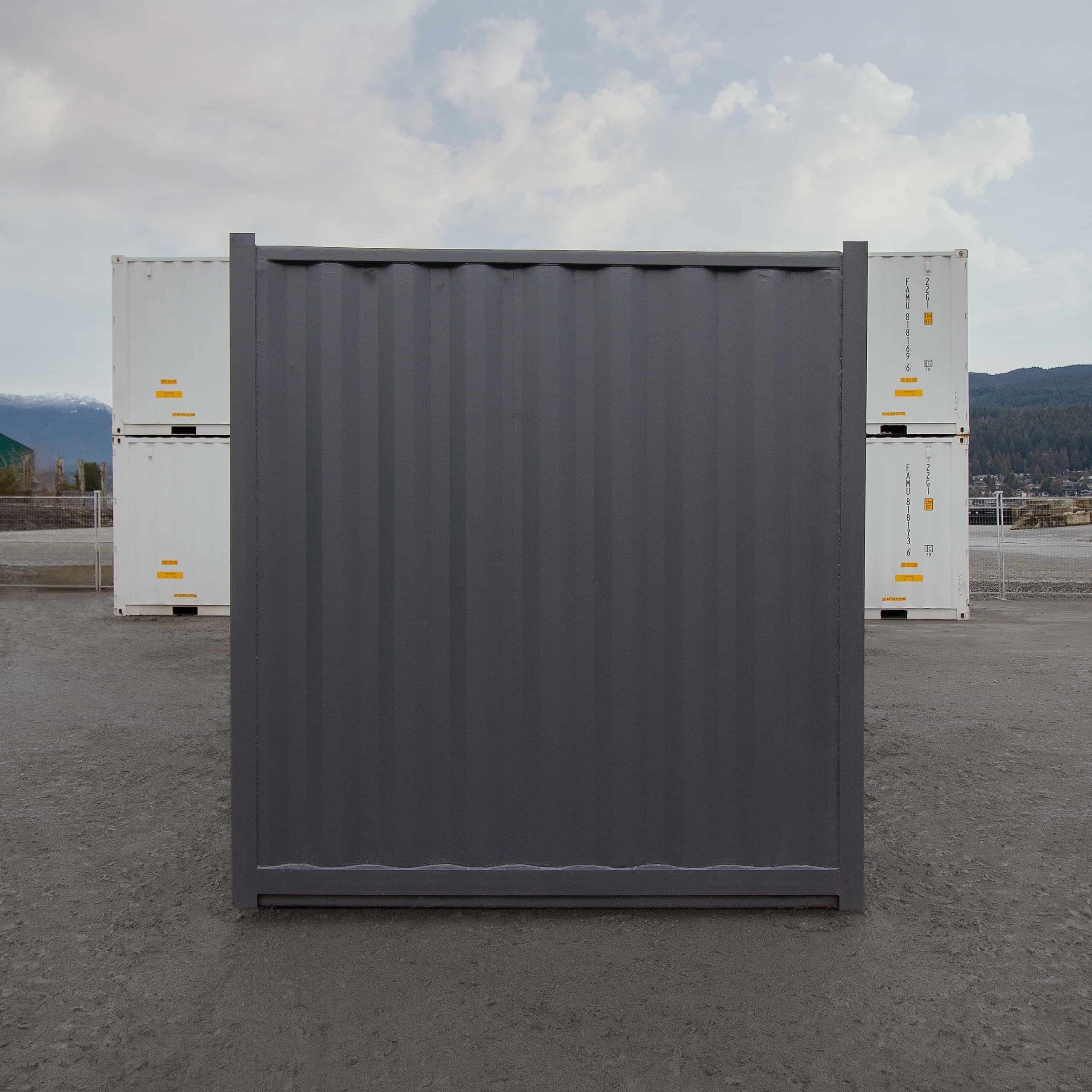 25′ “Cut Down” Used Shipping Container - Port Shipping Containers